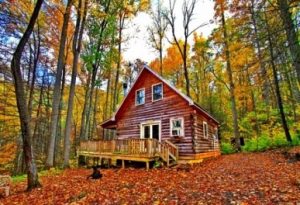cottage kayu di tengah hutan