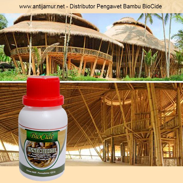 Distributor Pengawet Bambu BioCide