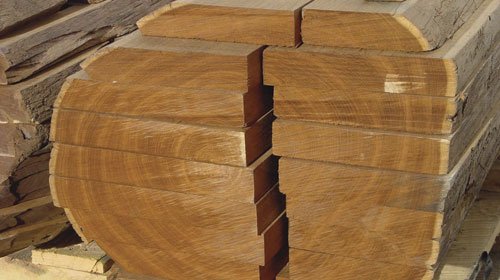 kayu jati, jenis kayu yang paling populer