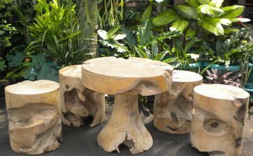 furnitur bonggol kayu