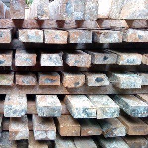 kayu kelapa berjamur