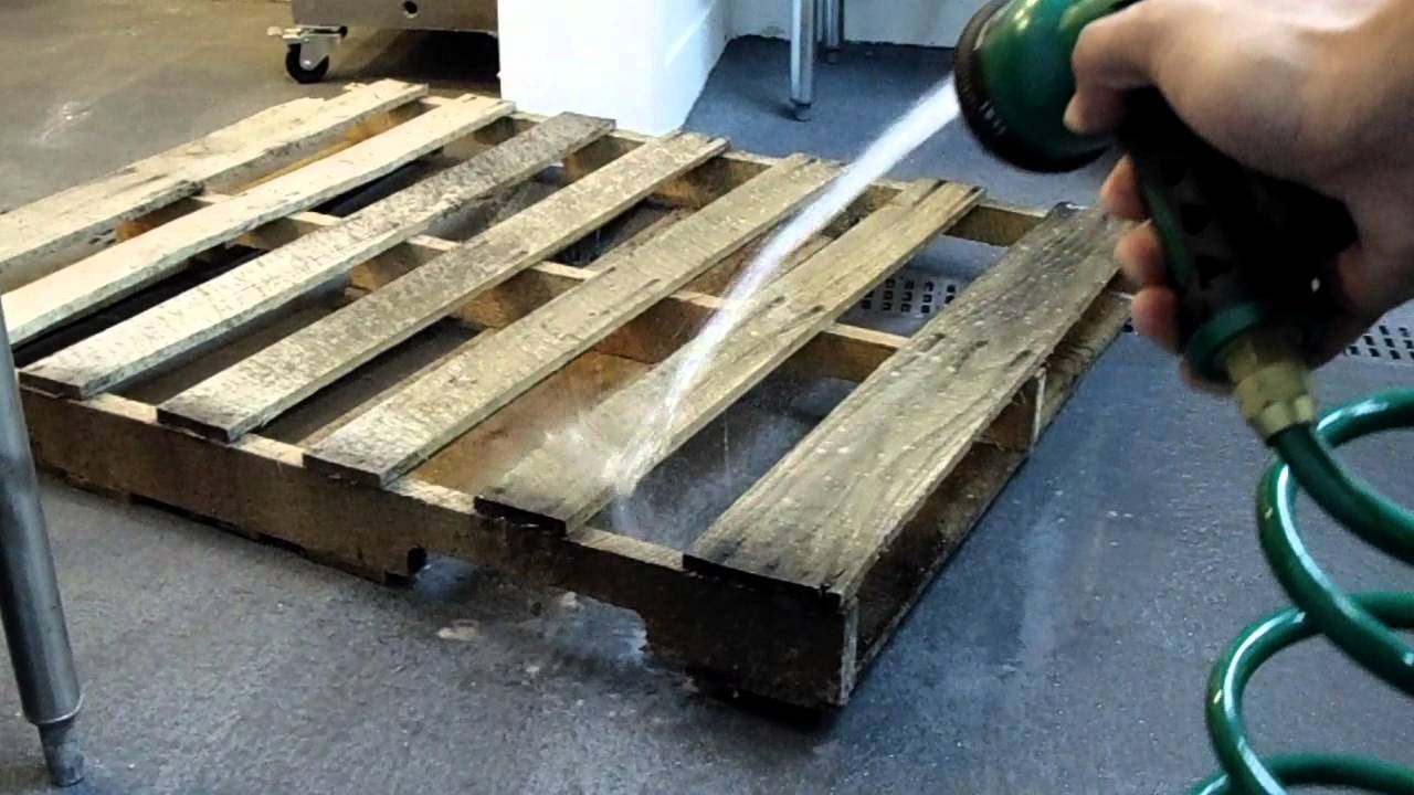 palet kayu berjamur