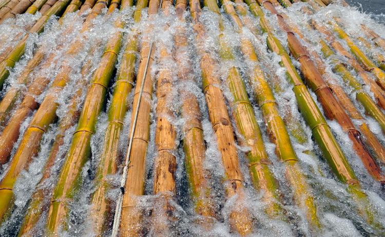 mencegah tumbuhnya jamur pada bambu