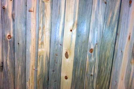 substrat kayu berjamur