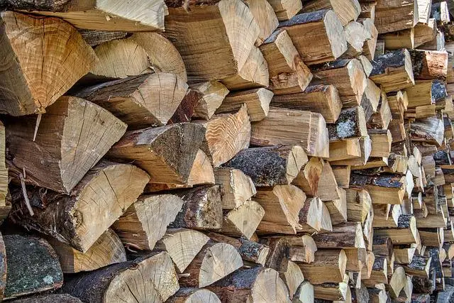 log kayu hikory