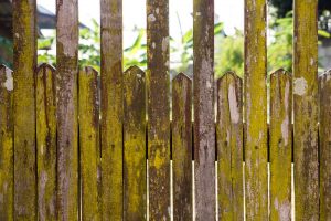 Ilustrasi pagar kayu berjamur dan berlumut