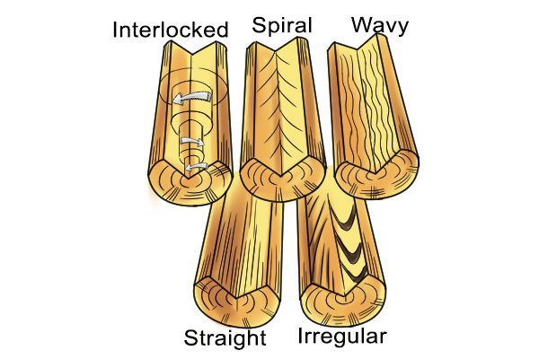 mengenal bentuk serat kayu
