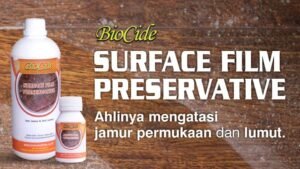 biocide pencegah jamur permukaan