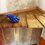 cat antijamur yang biasanya mahal, bisa diganti dengan menggunakan Biocide Surface Film Preservative