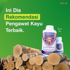 Biocide Wood Fungicide untuk mengatasi jamur dan lumut pada kayu