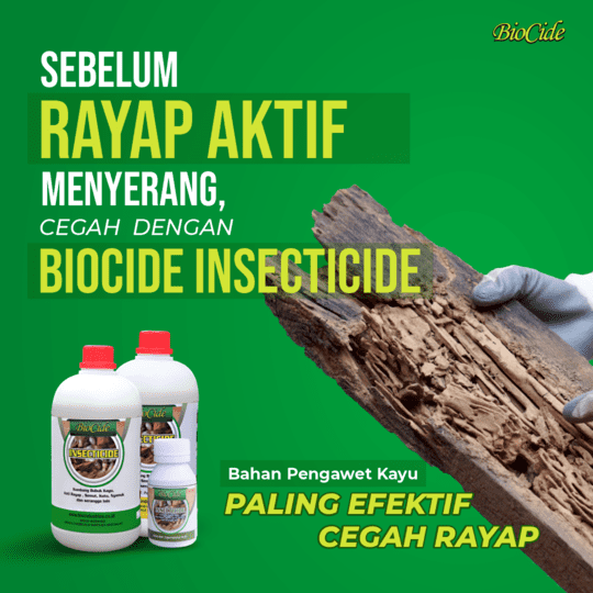 cegah rayap dengan Biocide Insecticide