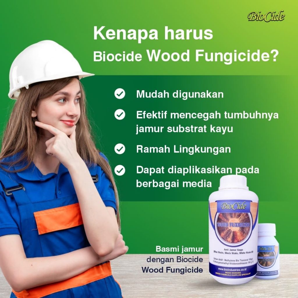 kenapa pakai biocide wood fungicide
