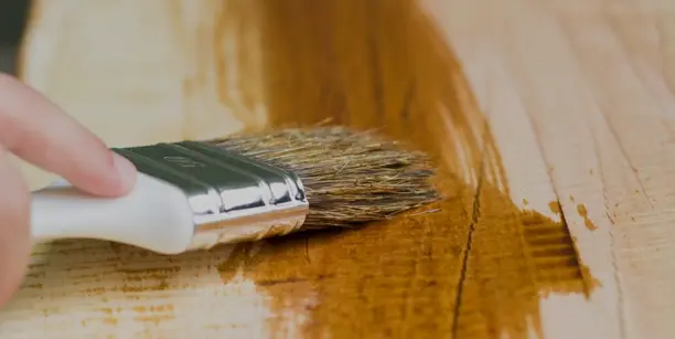 Cara meremajakan kayu terinfeksi jamur